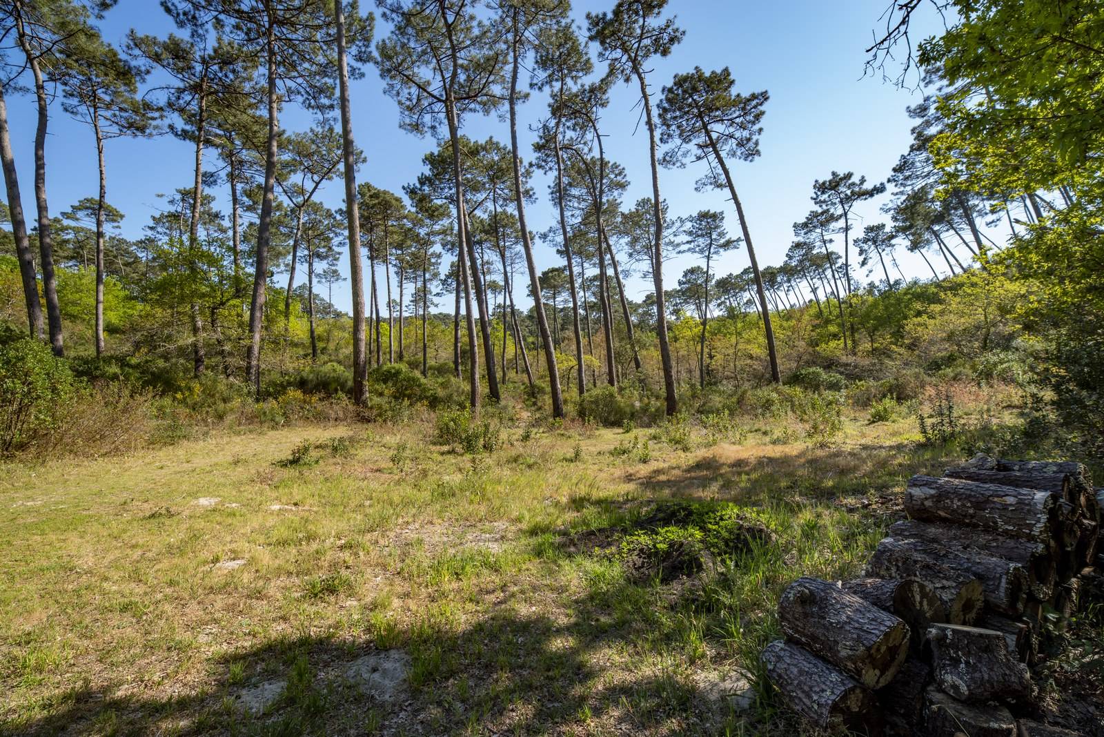 A VENDRE PYLA TERRAIN CONSTRUCTIBLE