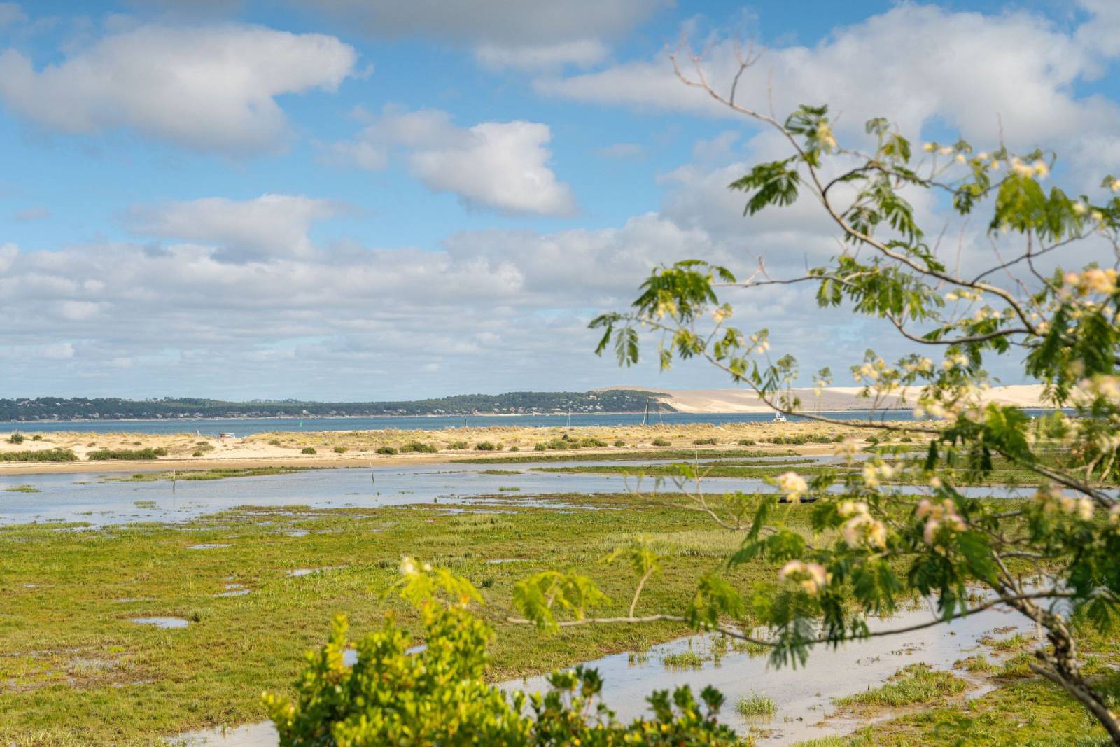 Vue sur la conche du Mimbeau et la Dune du Pilat lors de la soirée de lancement au Cap Ferret