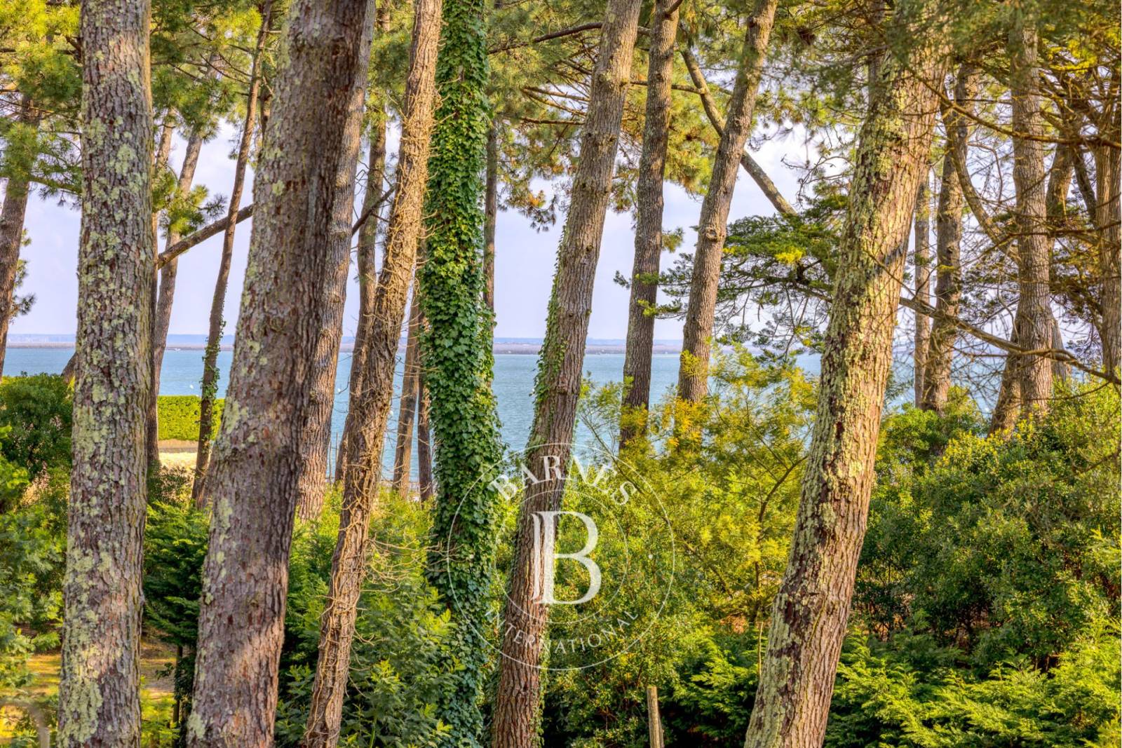 villa Les Grisets Cap Ferret quartier des Américains Barnes Bassin d’Arcachon
