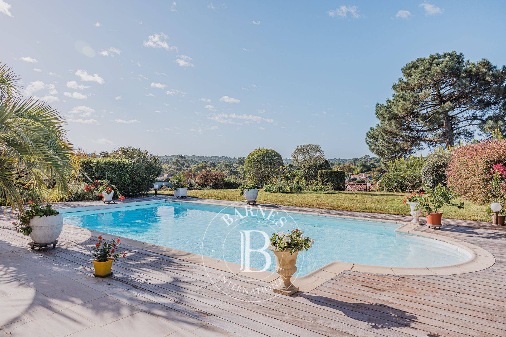 Vaste séjour cathédrale triple exposition, immobilier de luxe Arcachon