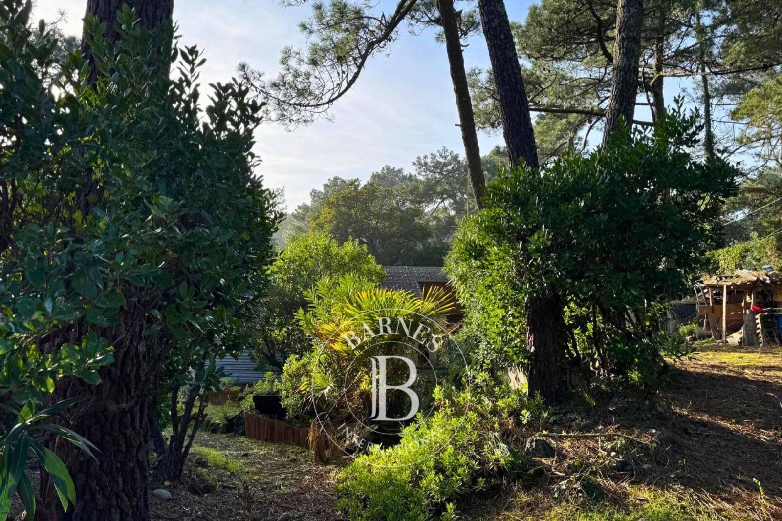 VILLA À RÉNOVER SITUÉE DANS LE TRIANGLE D’OR DU CAP FERRET