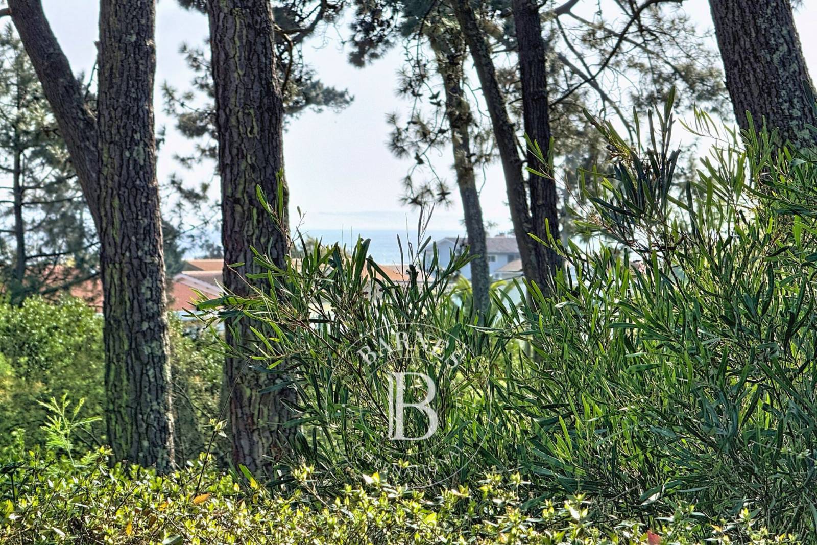 VILLA D’ARCHITECTE AVEC VUE BASSIN À PIRAILLAN SUR LA PRESQU’ÎLE DU CAP FERRET
