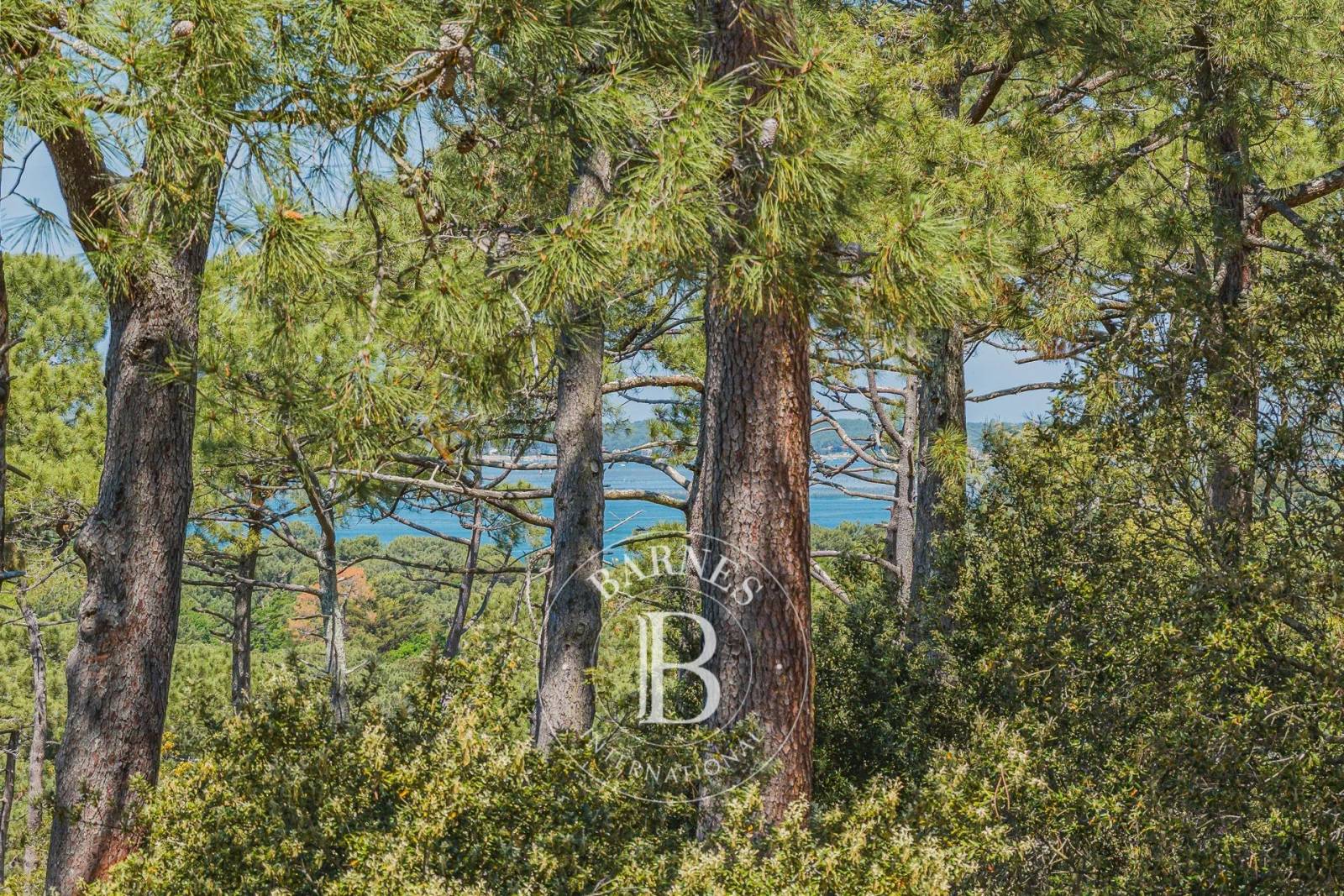 BELLE VILLA GAUME RÉCENTE À 10 MINUTES DE LA PLAGE DE L’ERMITAGE, CADRE NATUREL EXCEPTIONNEL AU PYLA-SUR-MER