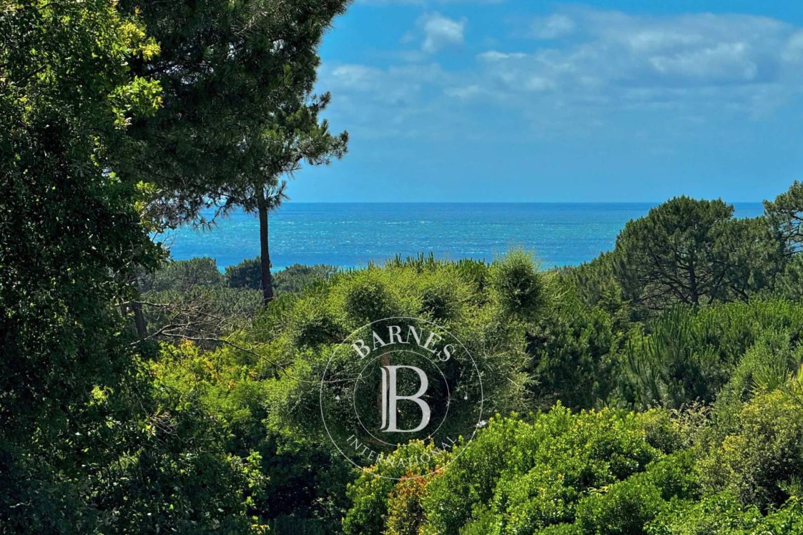 VILLA FAMILIALE PYLA - VUE BASSIN - PISCINE - 5 CHAMBRESa