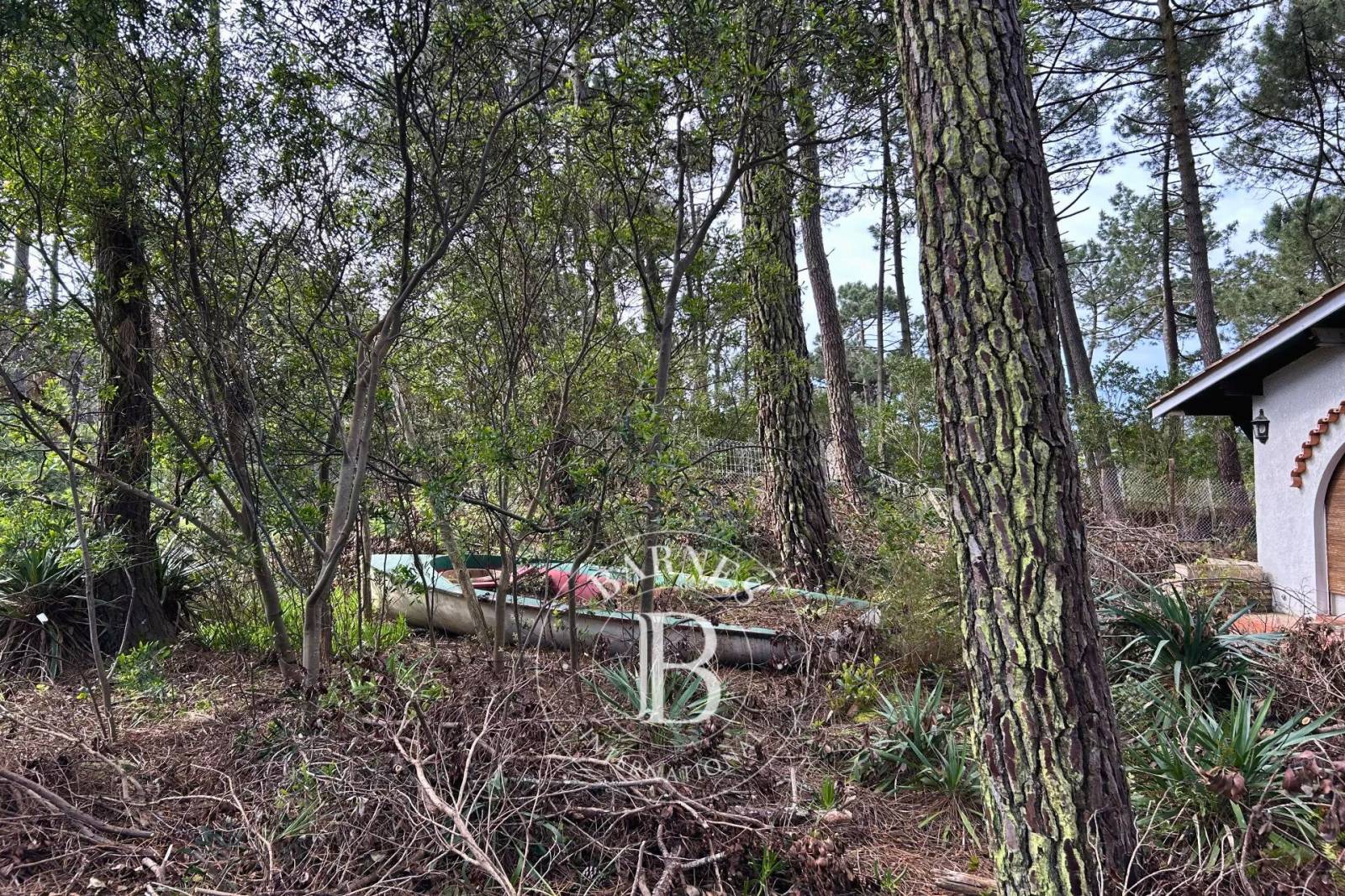 PROJET DE VILLA AVEC PISCINE AU VILLAGE DE L’HERBE SUR LA PRESQU’ÎLE DU CAP FERRET