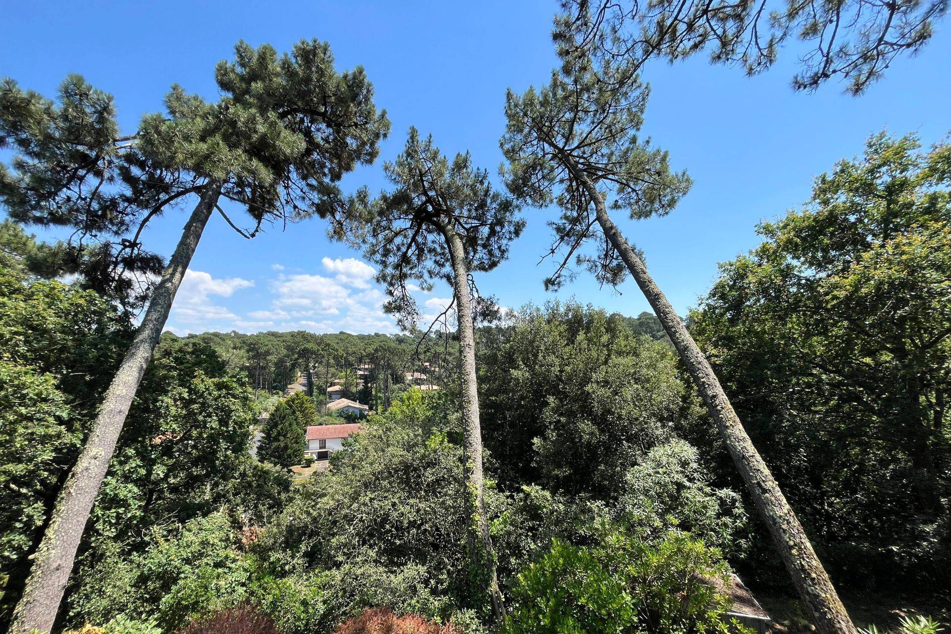 BELLE VILLA FAMILIALE AVEC VUE PINÈDE, 5 CHAMBRES, PYLA-SUR-MER