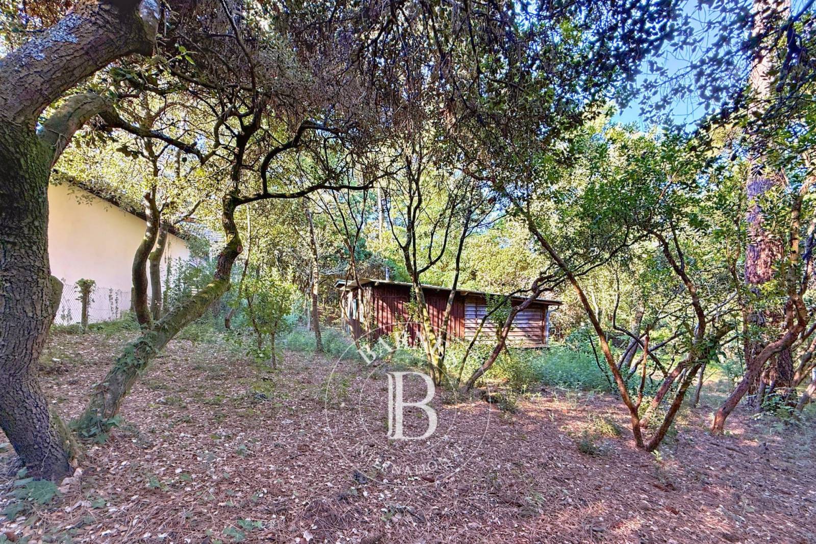 TERRAIN CONSTRUCTIBLE PISCINABLE DE 1 360 M² SUR LA PRESQU’ÎLE CAP FERRET