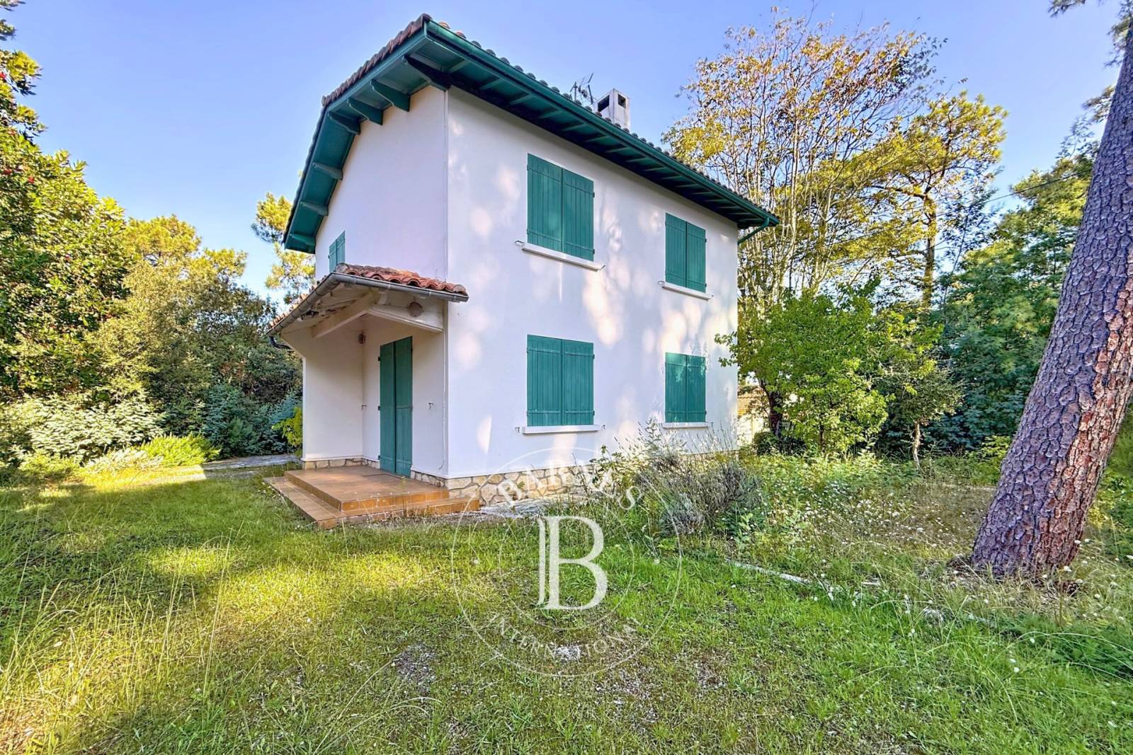 MAISON DES ANNÉES 50 À RÉNOVER SUR UN BEAU TERRAIN ARBORÉ AU CANON, PRESQU’ÎLE DU CAP FERRET