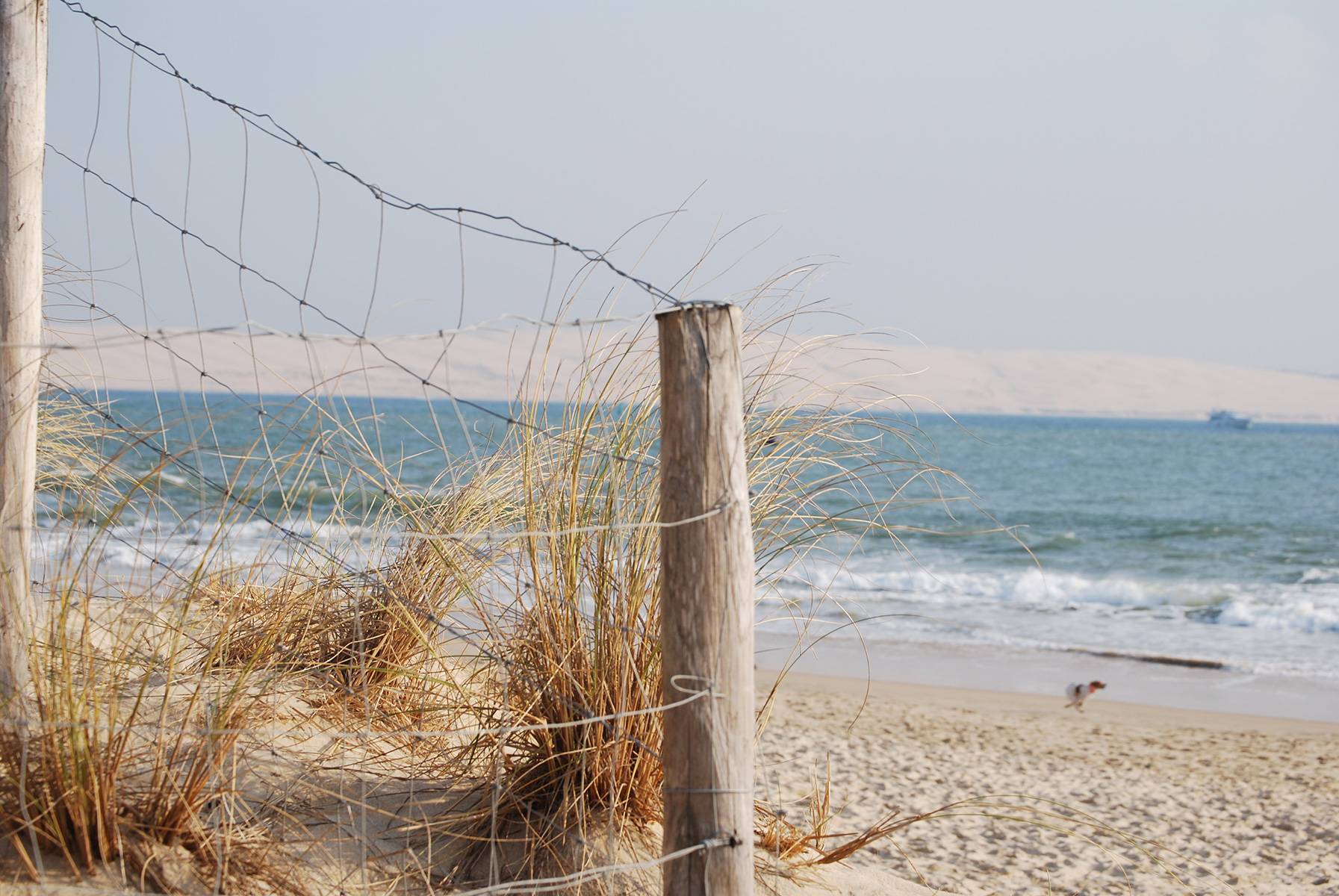 BARNES, la référence de l’immobilier de prestige sur le Bassin d'Arcachon 