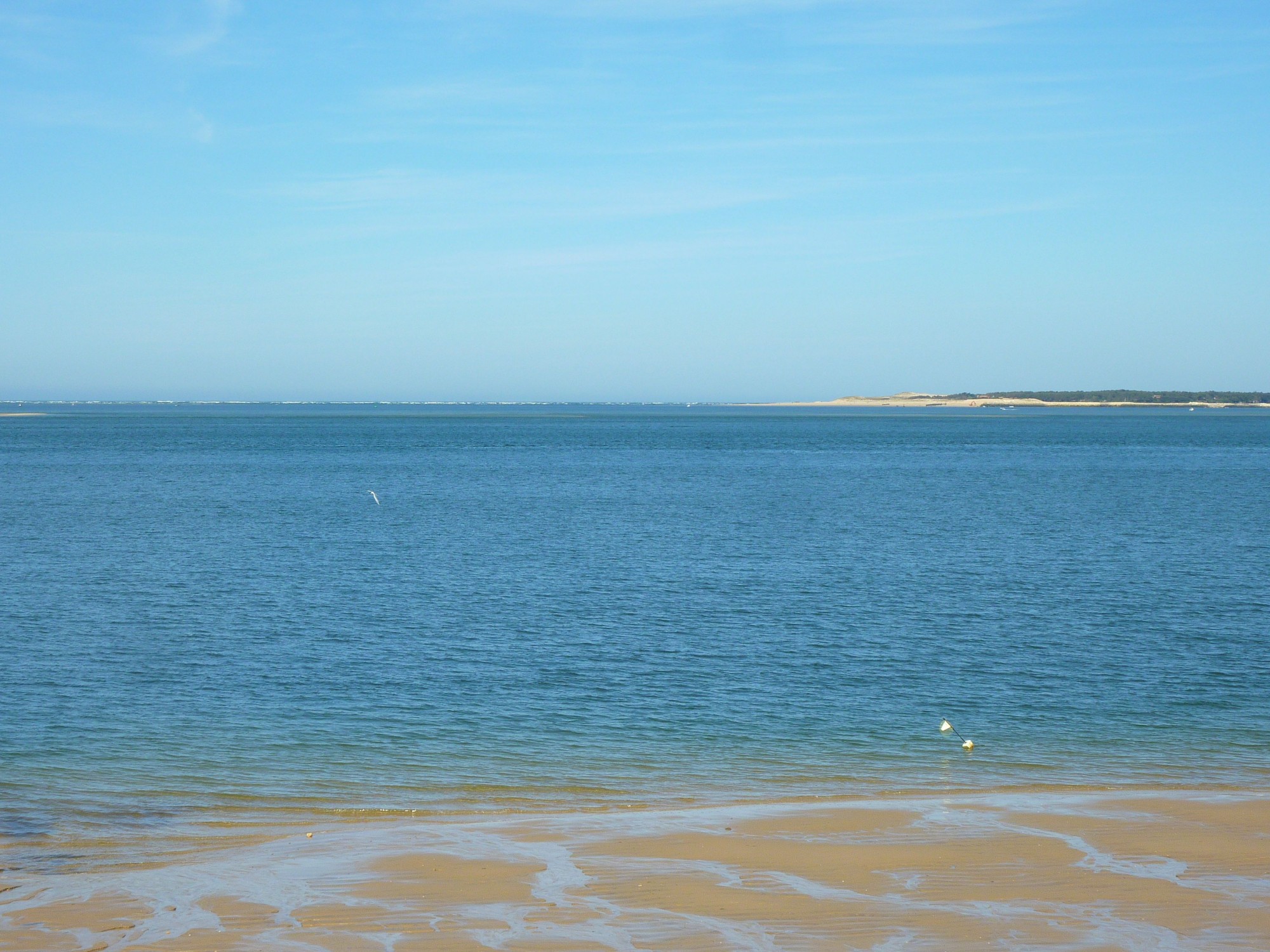 Immobilier au PYLA VUE MER