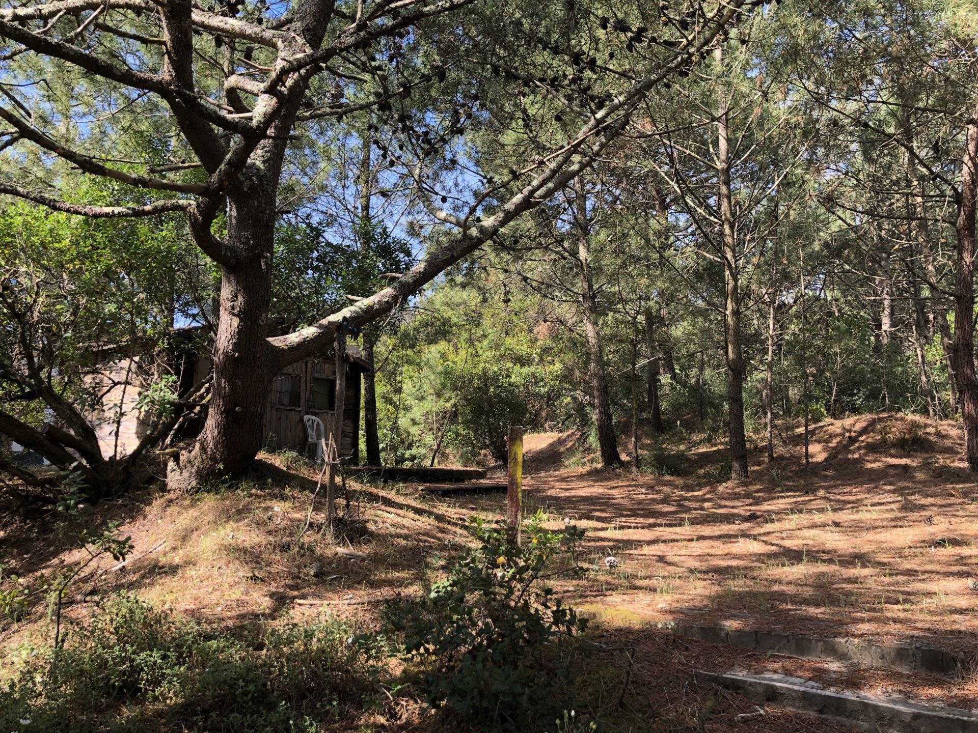 VENTE DE TERRAINS SUR LE CAP FERRET