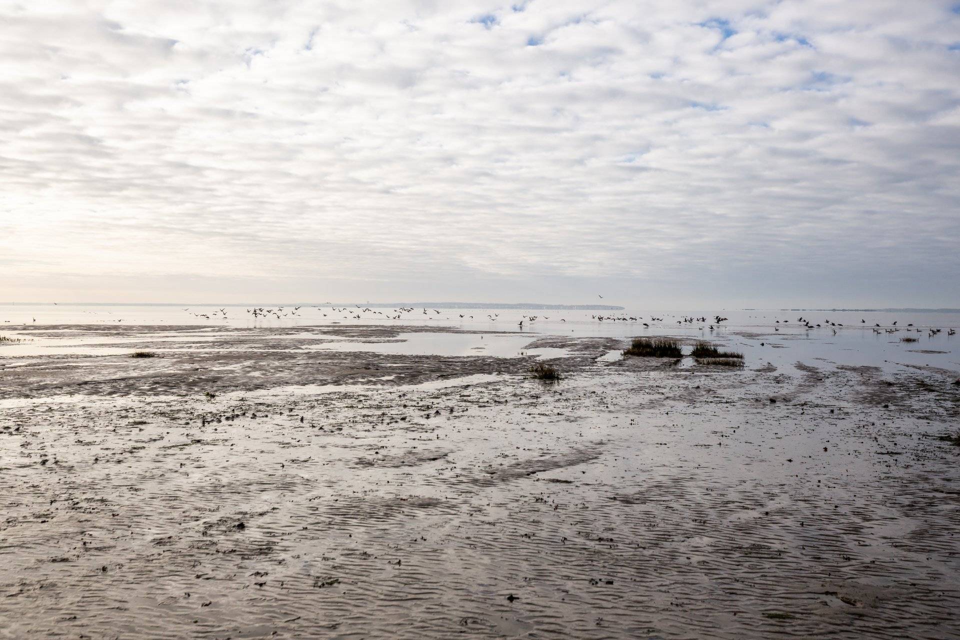 VILLA A VENDRE AVEC VUE MER ARES COTÉ BASSIN