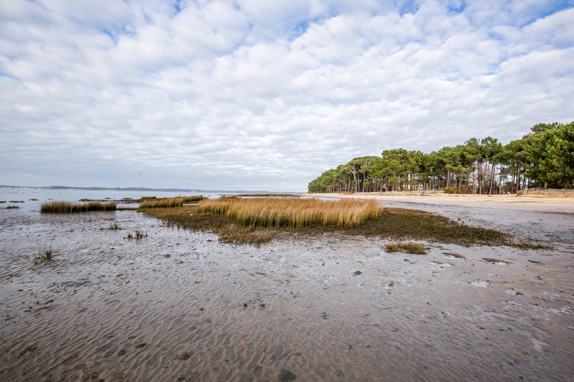 A VENDRE VILLA PREMIÈRE LIGNE ARÈS BASSIN ARCACHON