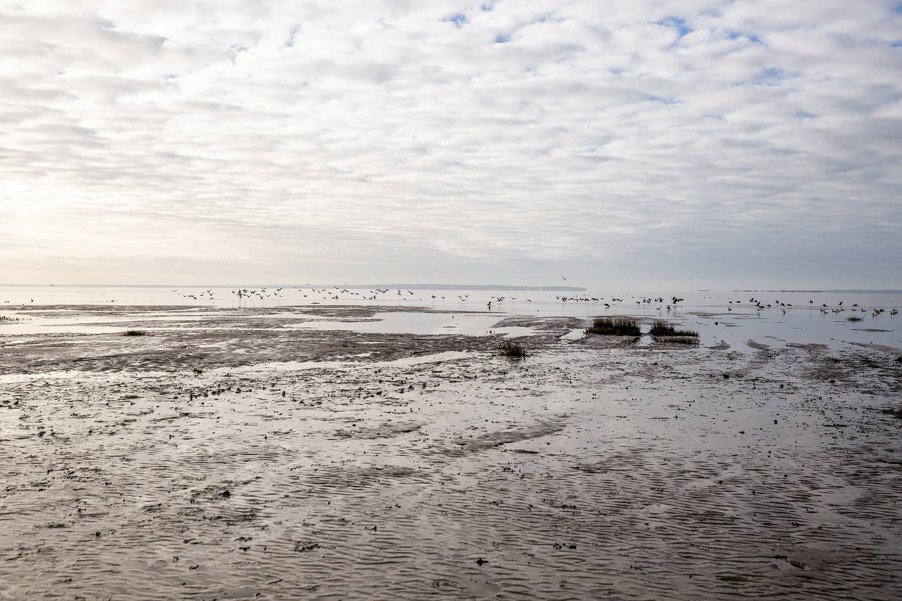 VILLA EN PREMIÈRE LIGNE ARES