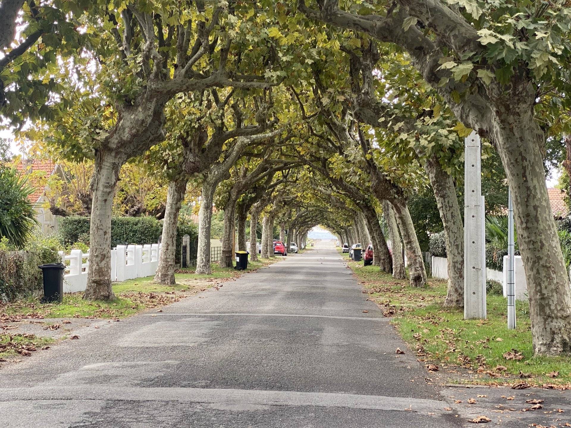 VILLA A VENDRE PLAGE À PIEDS SECTEUR PLAGE DU MAURET ANDERNPS