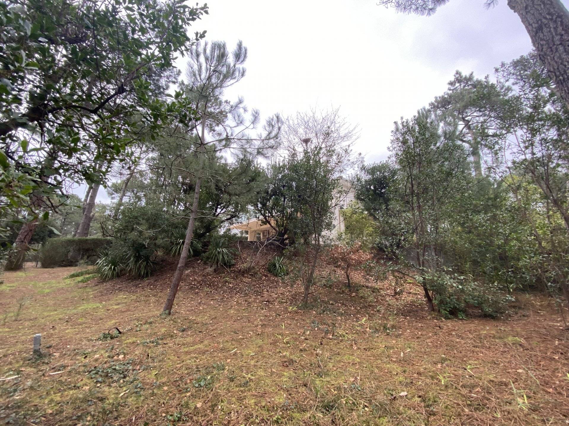 VILLA TRADITIONNELLE A VENDRE EN BORDURE DE FORET CAP FERRET