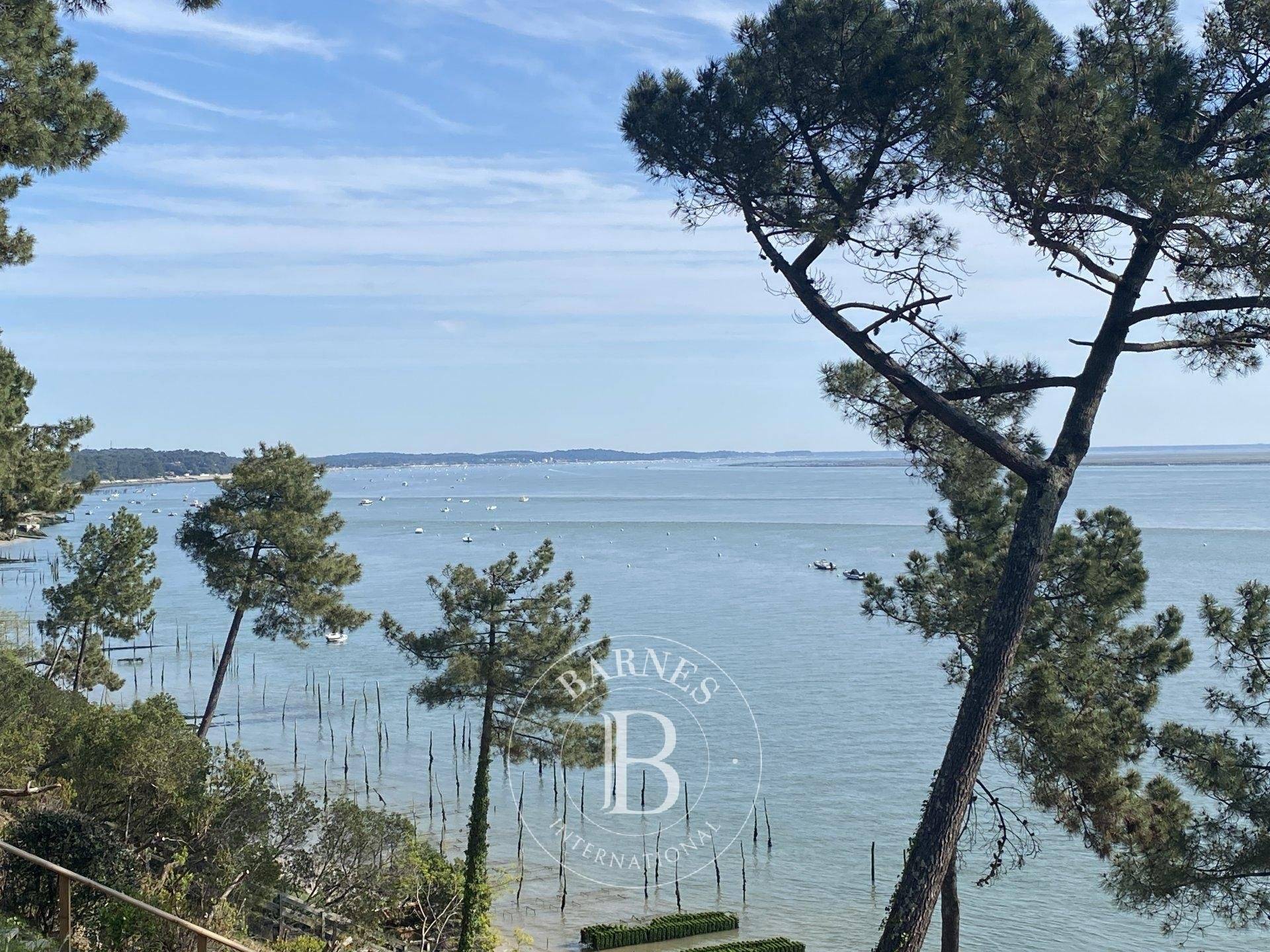 APPARTEMENT JARDIN VUE PANORAMIQUE SUR LE BASSIN CAP FERRET