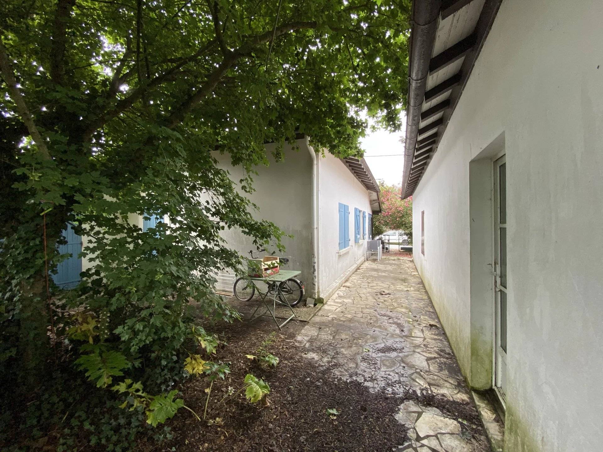 Terrains à vendre Lege Cap Ferret