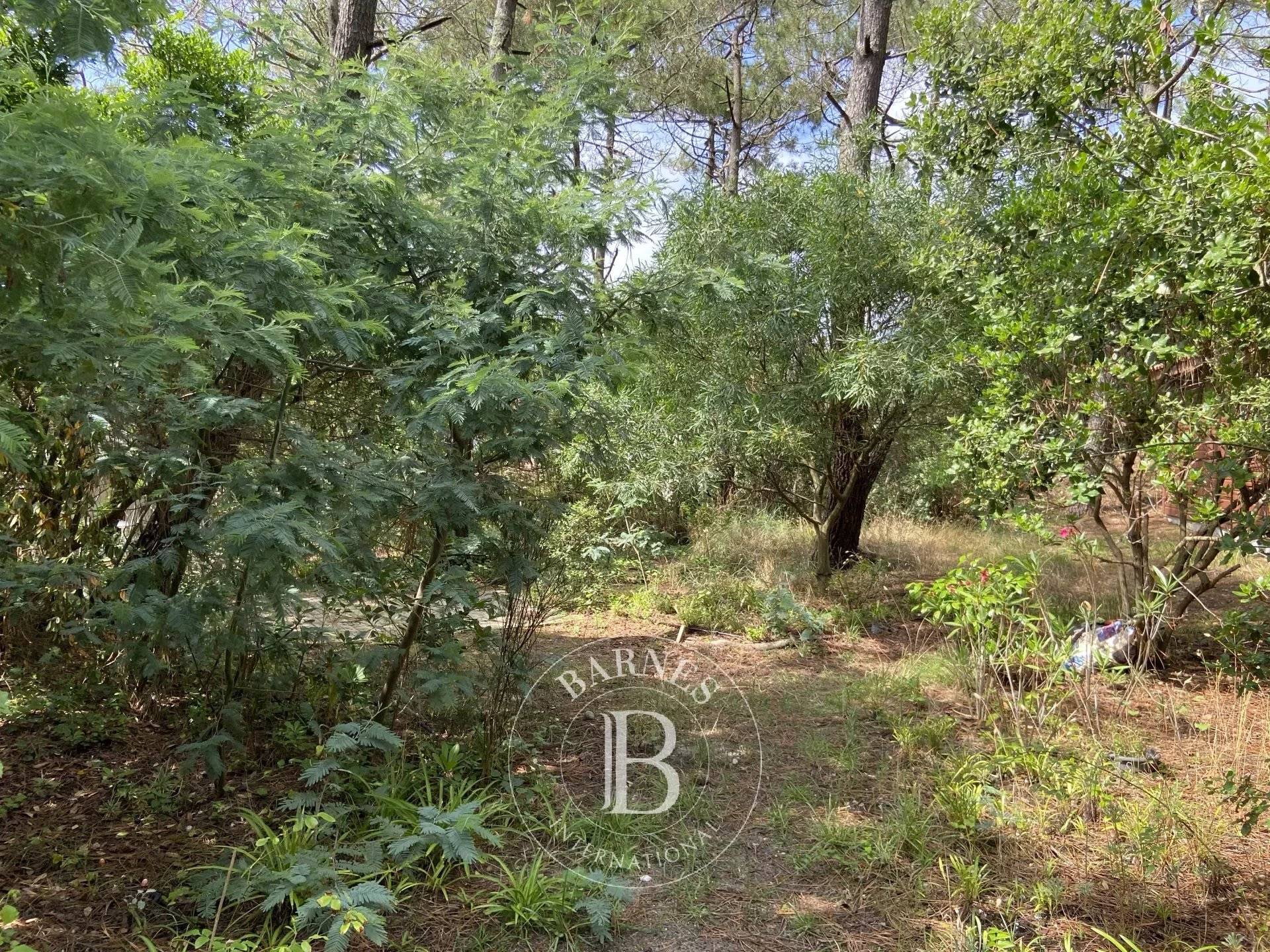 SUPERBE TERRAIN A VENDRE AU CENTRE DU CAP FERRET