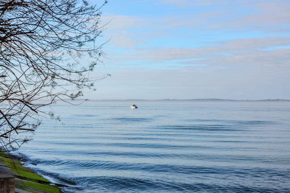 point marché immobilier 2024 bassin arcachon