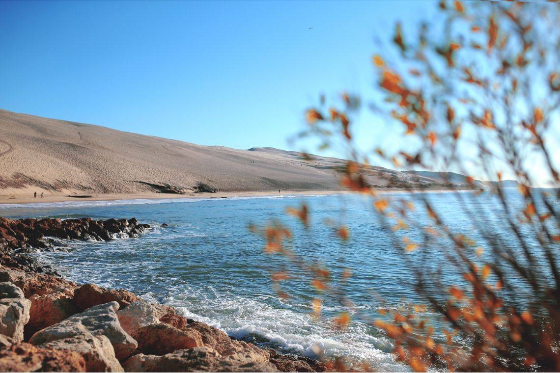 point marché immobilier 2024