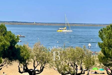 agence immobilière Barnes Bassin d’Arcachon