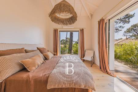 vue sur la pinède depuis la terrasse – Presqu’île du Cap Ferret
