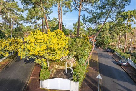 * jardin arboré et vue paisible à Arcachon