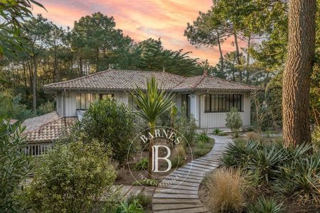 Vue extérieure sur un vaste terrain piscinable entouré de pins – Bassin d’Arcachon immobilier