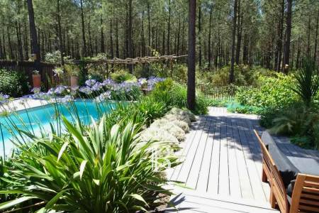 SOMPTUEUSE VILLA FAMILIALE AU COEUR DE LA PINÈDE FERRET CAPIENNE À LÈGE