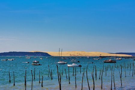 Notre zone d'activité pour ce service Grande propriété avec terrain à vendre