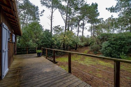 A VENDRE CABANE AU CAP FERRET