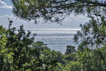 VENTE DE VILLAS AVEC VUE SUR LA MER AU PYLA