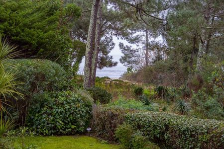 VILLA A VENDRE CAP FERRET 44 HECTARES