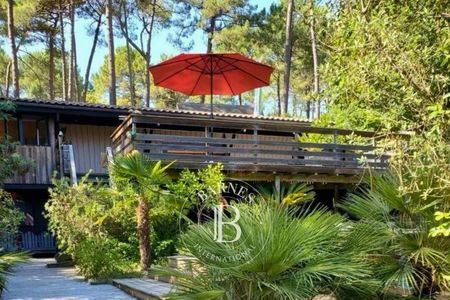 Nos prestations sur le secteur de La canon, Cap Ferret