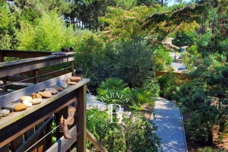 Terrasse en bois entourée de végétation à Lacanau - Cap Ferret, agence immobilière.