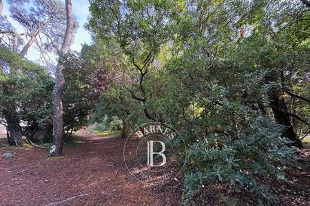 Villa dans le Triangle d'Or du Cap Ferret avec piscine, grand terrain et potentiel d’agrandissement - immobilier de luxe, Barnes Bassin d'Arcachon, Cap Ferret