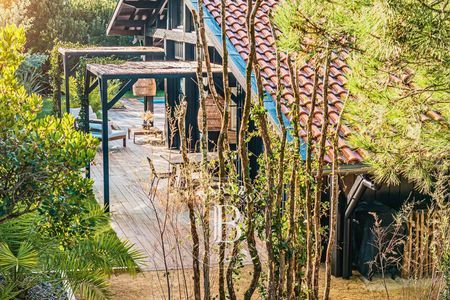 Somptueuse villa en bois avec piscine au Cap Ferret