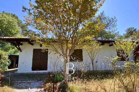 maison à vendre petit piquey
