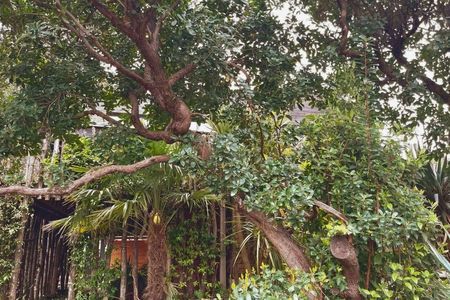 VILLA VUE BASSIN AVEC PISCINE, PRESQU’ÎLE DU CAP FERRET