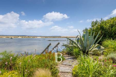 salon avec vue sur la Dune du Pyla Cap Ferret