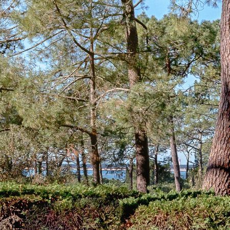 VILLA A VENDRE AVEC APERCU BASSIN SECTEUR ERMITAGE PYLA SUR MER