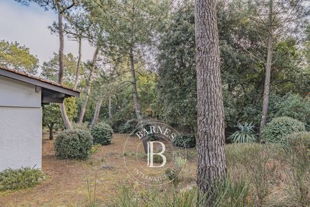 Possibilité de création d’une dépendance de 30 m² à Cap Ferret Barnes Bassin d’Arcachon