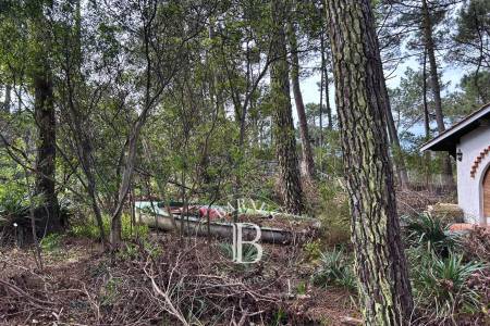 Nos prestations sur le secteur de Bassin Arcachon (33), Gironde