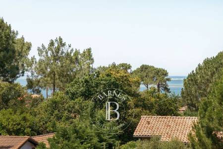 Architecture élégante au cœur de la nature au Pyla