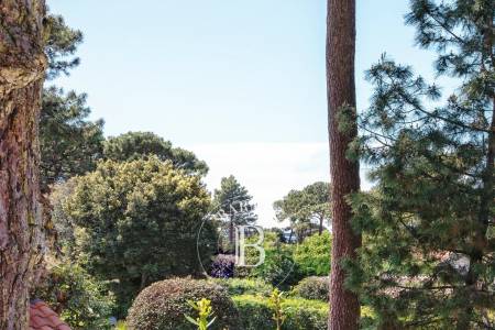 VILLA BASCO-LANDAISE DE CARACTÈRE AU CERCLE DE VOILE AU PYLA-SUR-MER