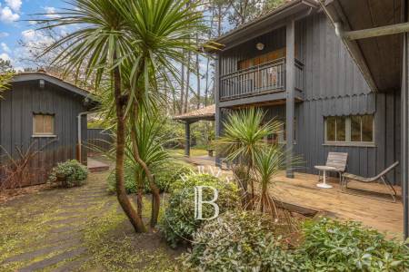 séjour lumineux avec cheminée villa cap ferret agence immobilière