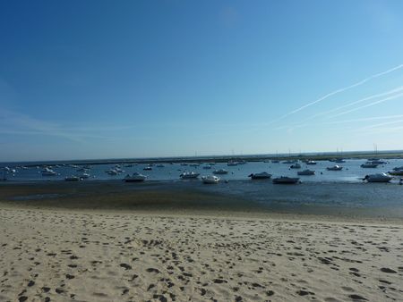 ACHAT APPARTEMENT AIGUILLON ARCACHON