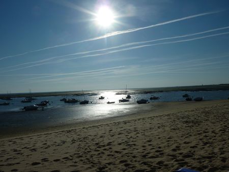 VENTE APPARTEMENT NEUF AVEC BALCONS ET VASTE TERRASSE VUE BASSIN D'ARCACHON