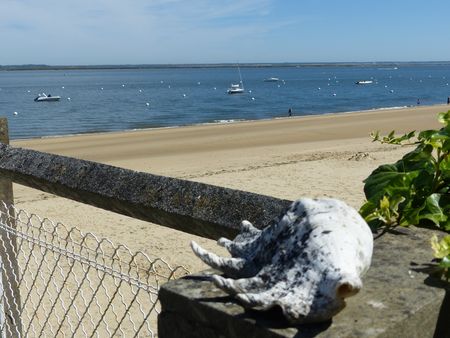 Notre zone d'activité pour ce service Appartement de luxe 1ère ligne à vendre